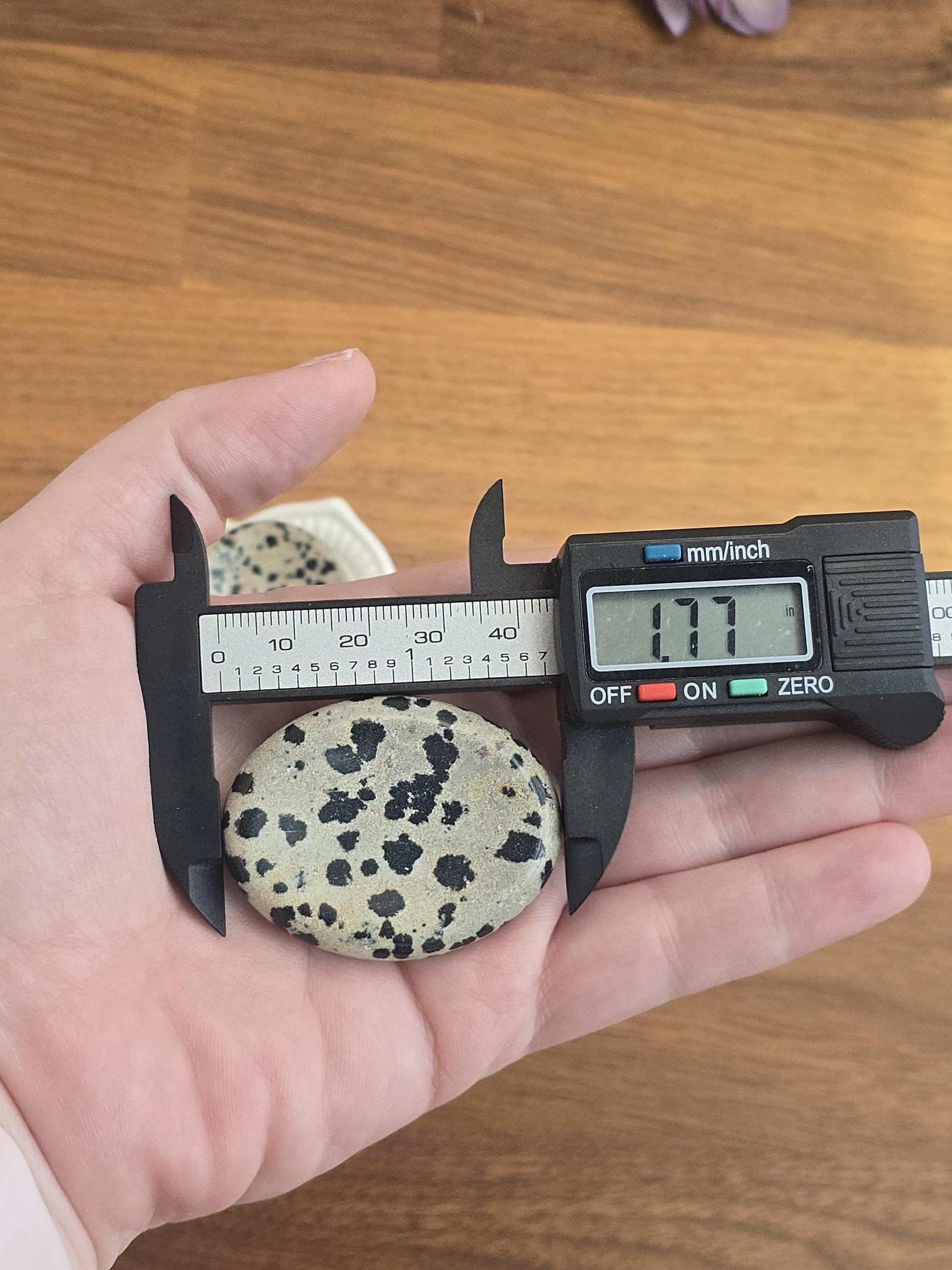 Worry Stone: Dalmatian Jasper with Black Polka Dots - Smooth Pocket Crystal