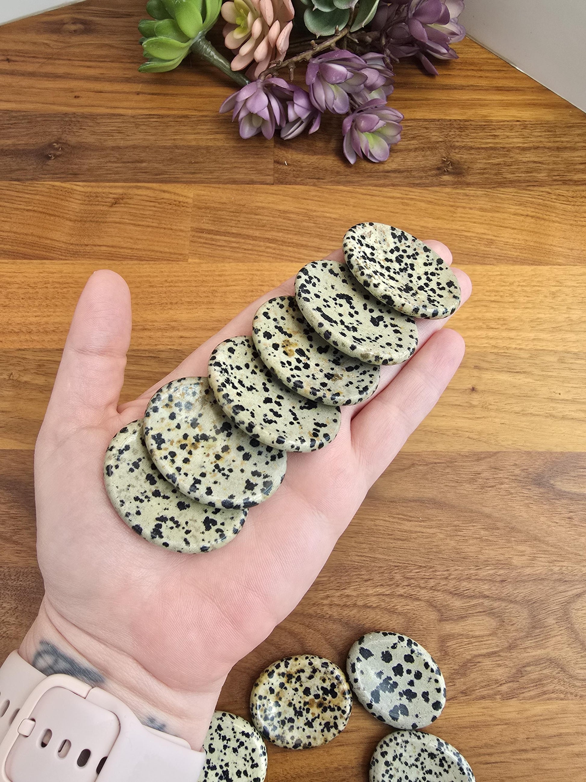 Worry Stone: Dalmatian Jasper with Black Polka Dots - Smooth Pocket Crystal