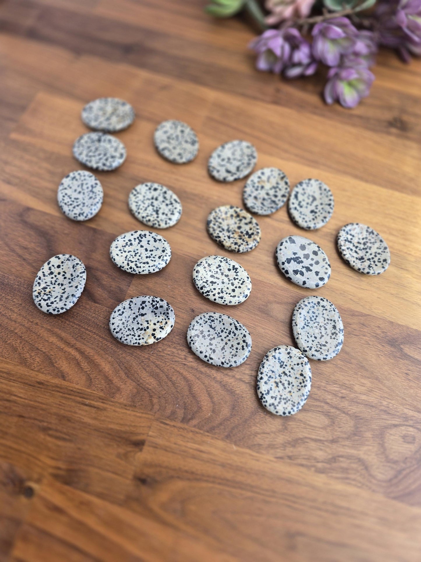 Worry Stone: Dalmatian Jasper with Black Polka Dots - Smooth Pocket Crystal