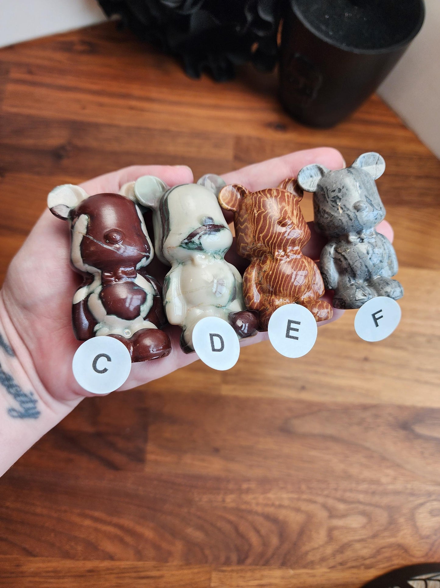 Cool Crystal Bears | Medium Size | Blue, Red, Green, Zebra, Yellow | Intuitively Chosen