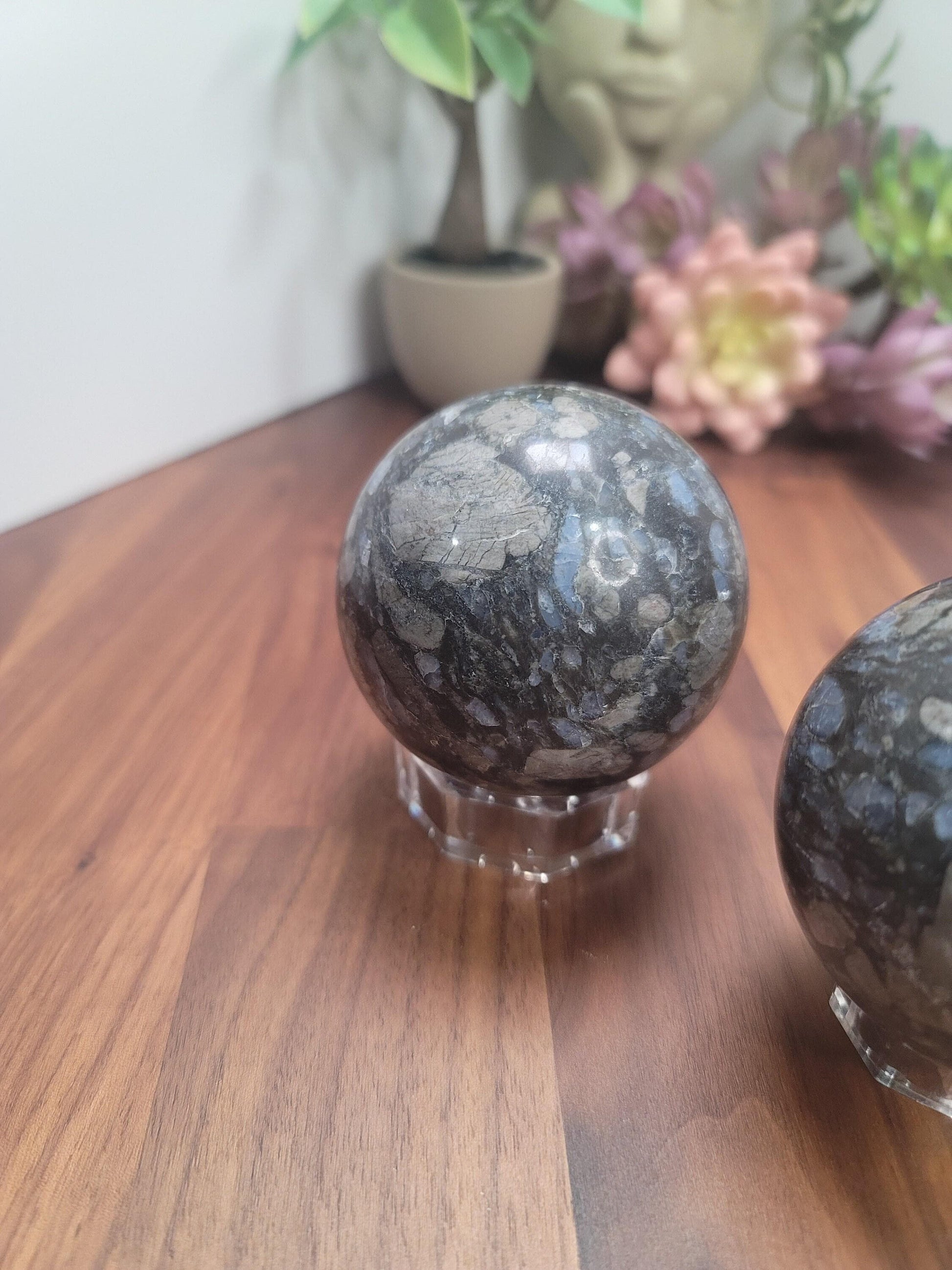Radiant Rhyolite Que Sera Crystal Sphere | 66 MM | Blue and Black | Intuitively Chosen