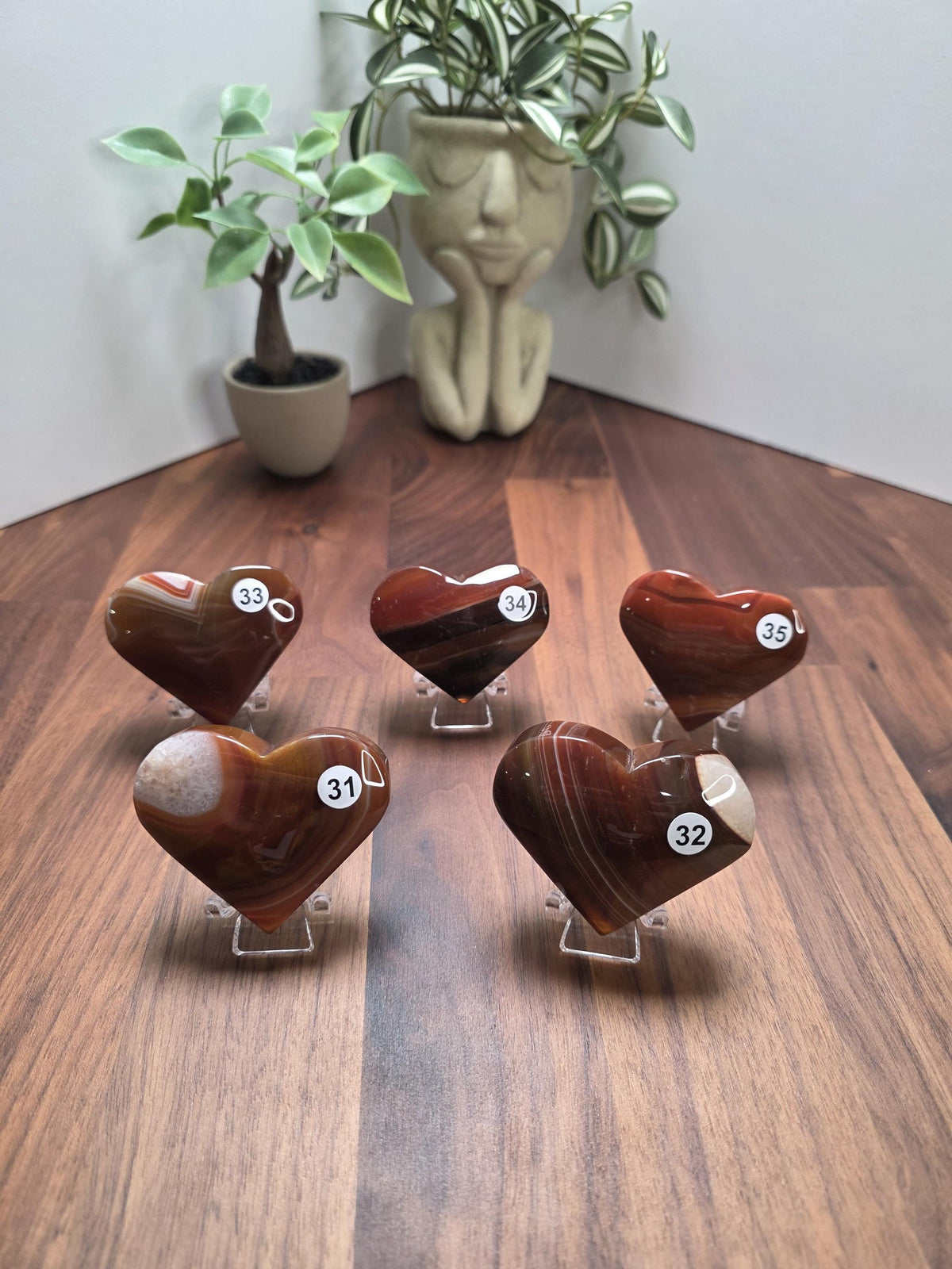 a wooden surface with six heart-shaped stones, each with a unique color and size, arranged in a circular pattern. In the background, there is a potted plant and a ceramic vase, adding a decorative touch to the scene.