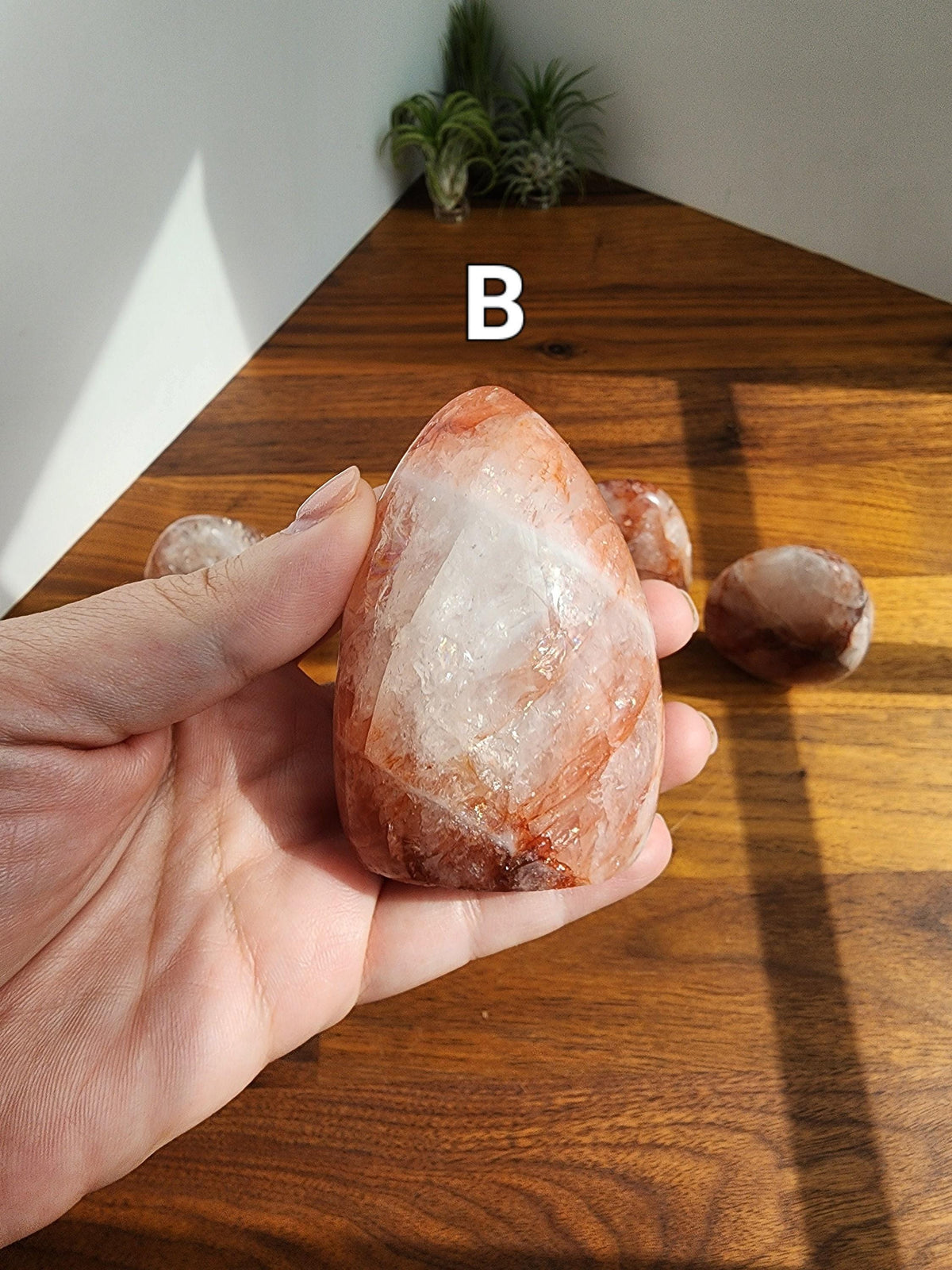 A hand holding a large, irregularly shaped rock with a reddish-brown hue, set against a wooden background with a plant visible in the corner.
