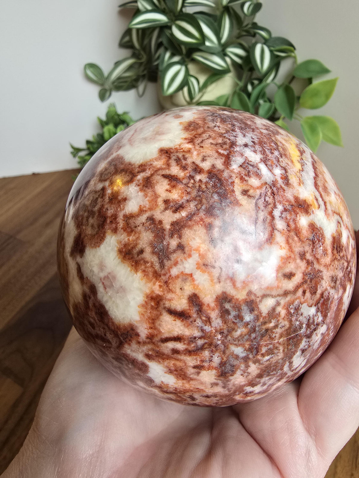Inv - Beautiful Mexican Red Banded Calcite Egg | "B" | Large Crystal Statement Piece | Natural Porkstone in Red Pink White Brown | Rare Find