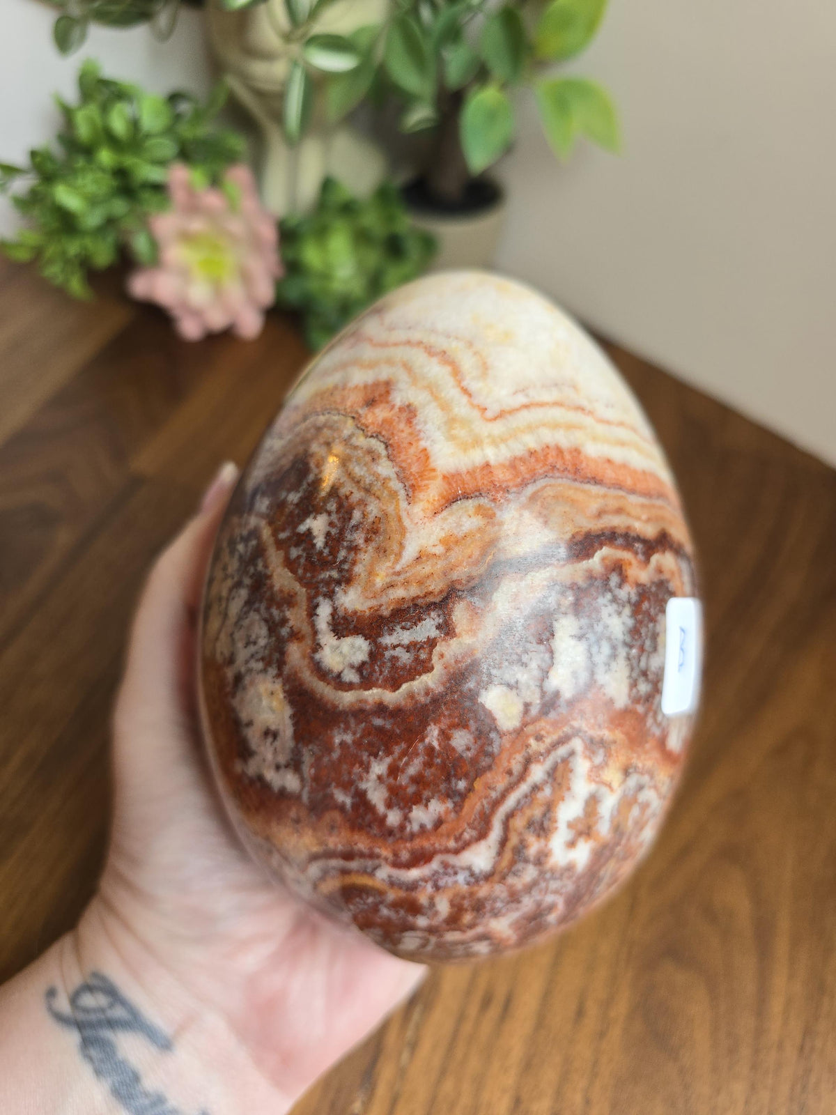 Inv - Beautiful Mexican Red Banded Calcite Egg | "B" | Large Crystal Statement Piece | Natural Porkstone in Red Pink White Brown | Rare Find