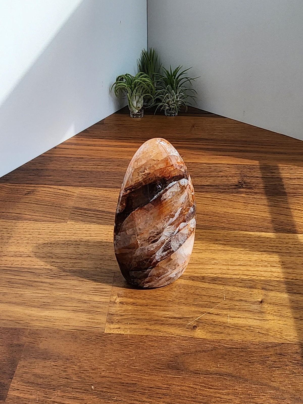 a large, oval-shaped rock with a striped pattern, placed on a wooden floor in a room with a white wall and a plant in the corner.