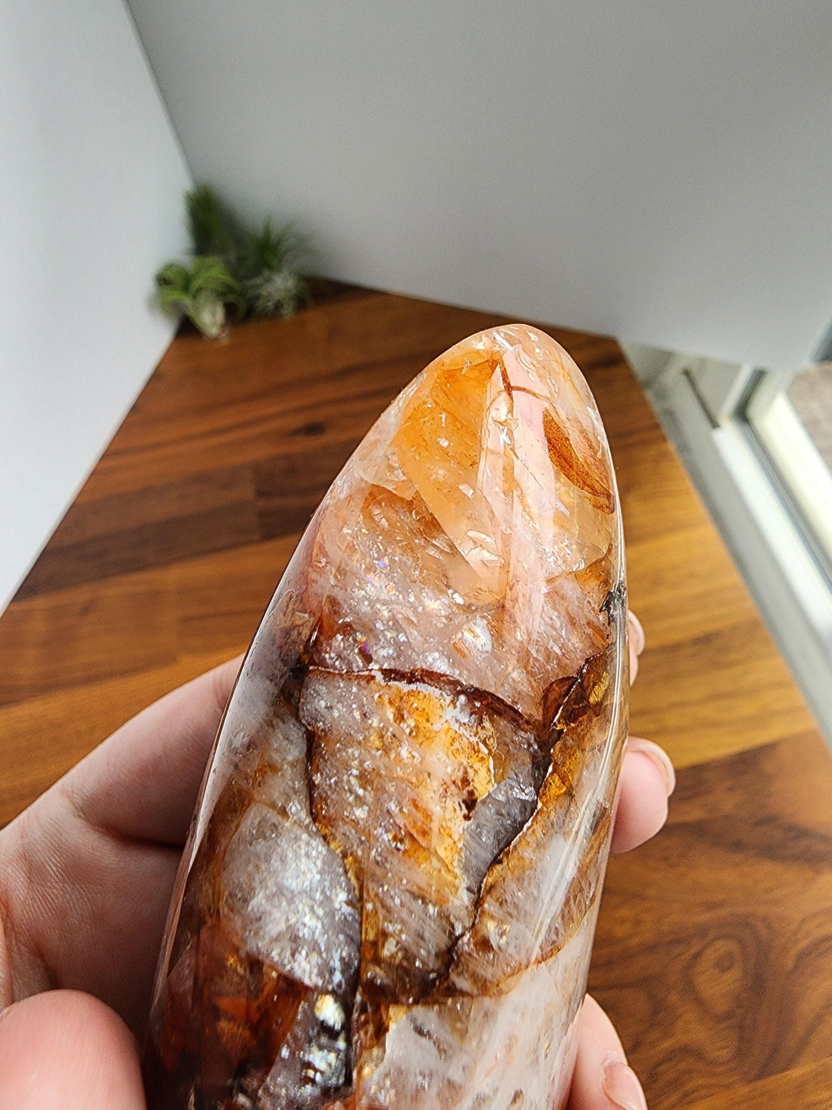 A hand is holding a large, jagged, and colorful crystal on a wooden surface, with a plant visible in the background.