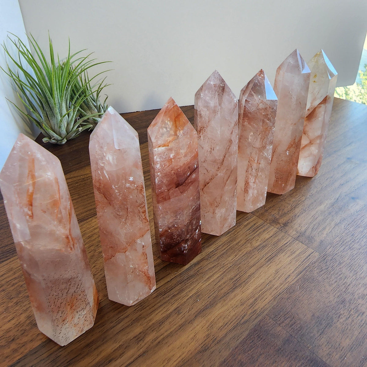 A row of seven pink crystal formations on a wooden surface, with a potted plant in the background.