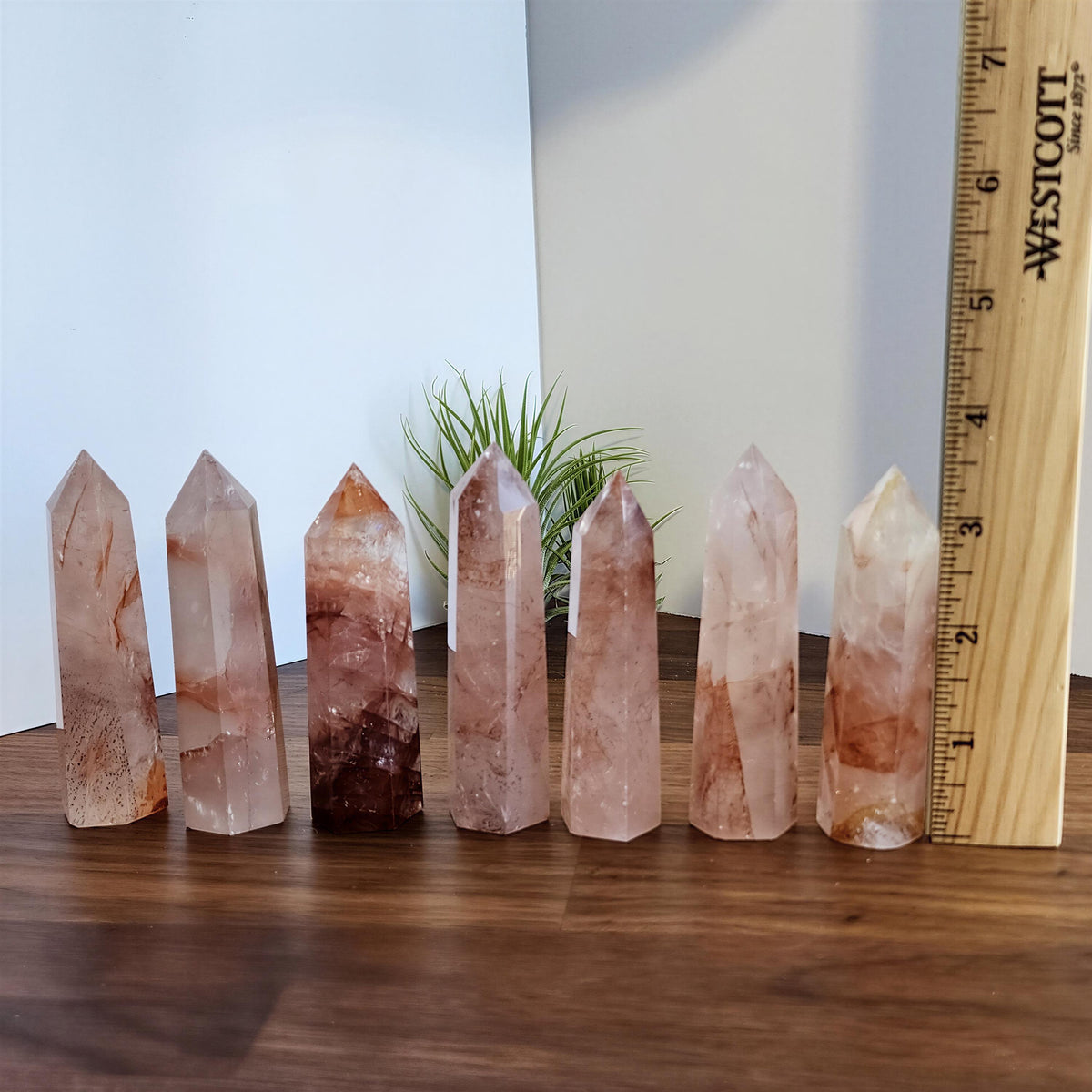 A collection of seven clear quartz crystals of varying sizes, arranged on a wooden surface next to a ruler for size comparison.