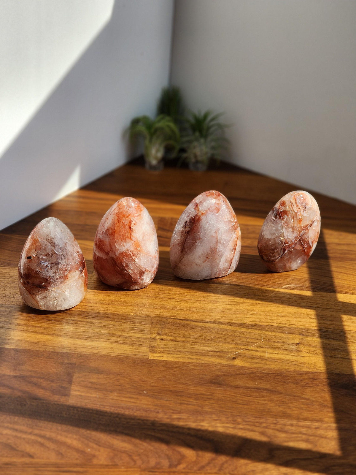 Four pink and white rocks are arranged on a wooden floor, with a plant visible in the background.