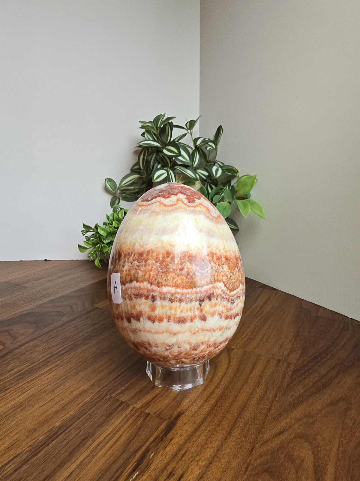 Inv - Gorgeous Mexican Red Banded Calcite Egg | "A" | Large Crystal Statement Piece | Natural Pork Stone in Red Pink White Brown | Rare Find