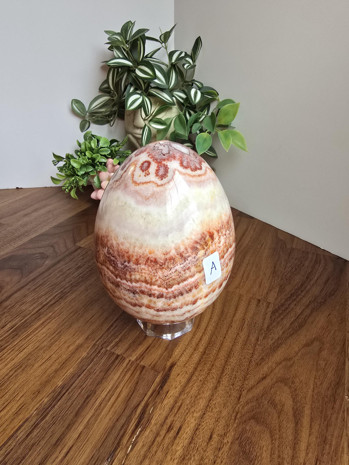Inv - Gorgeous Mexican Red Banded Calcite Egg | "A" | Large Crystal Statement Piece | Natural Pork Stone in Red Pink White Brown | Rare Find