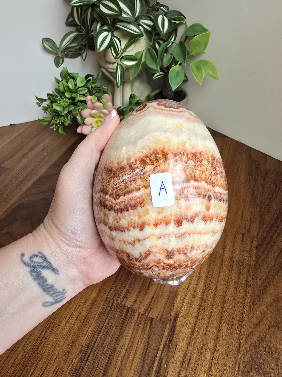 Inv - Gorgeous Mexican Red Banded Calcite Egg | "A" | Large Crystal Statement Piece | Natural Pork Stone in Red Pink White Brown | Rare Find