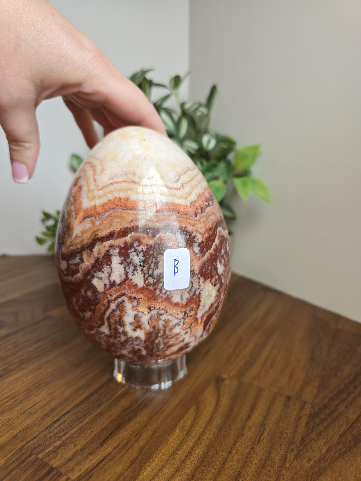 Inv - Beautiful Mexican Red Banded Calcite Egg | "B" | Large Crystal Statement Piece | Natural Porkstone in Red Pink White Brown | Rare Find