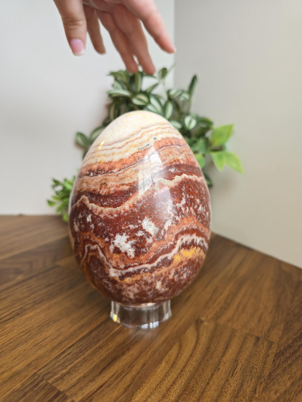 Inv - Beautiful Mexican Red Banded Calcite Egg | "B" | Large Crystal Statement Piece | Natural Porkstone in Red Pink White Brown | Rare Find