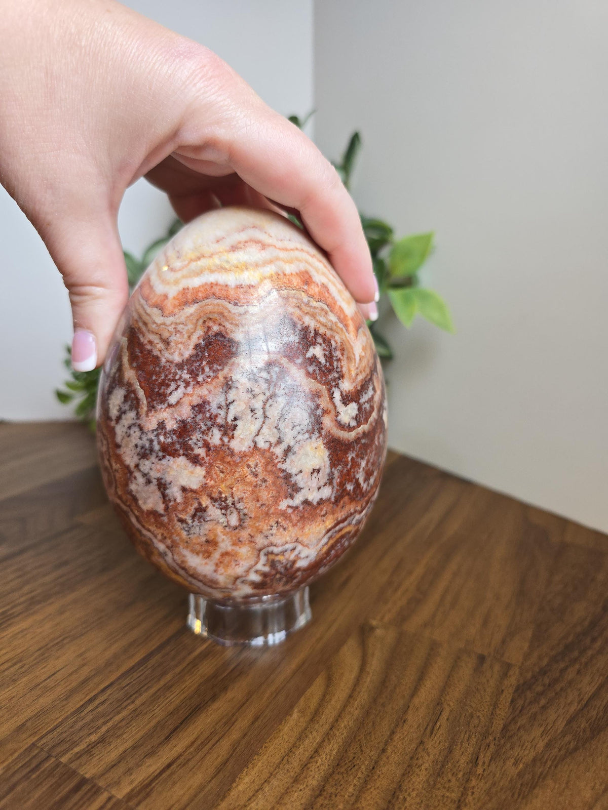 Inv - Beautiful Mexican Red Banded Calcite Egg | "B" | Large Crystal Statement Piece | Natural Porkstone in Red Pink White Brown | Rare Find