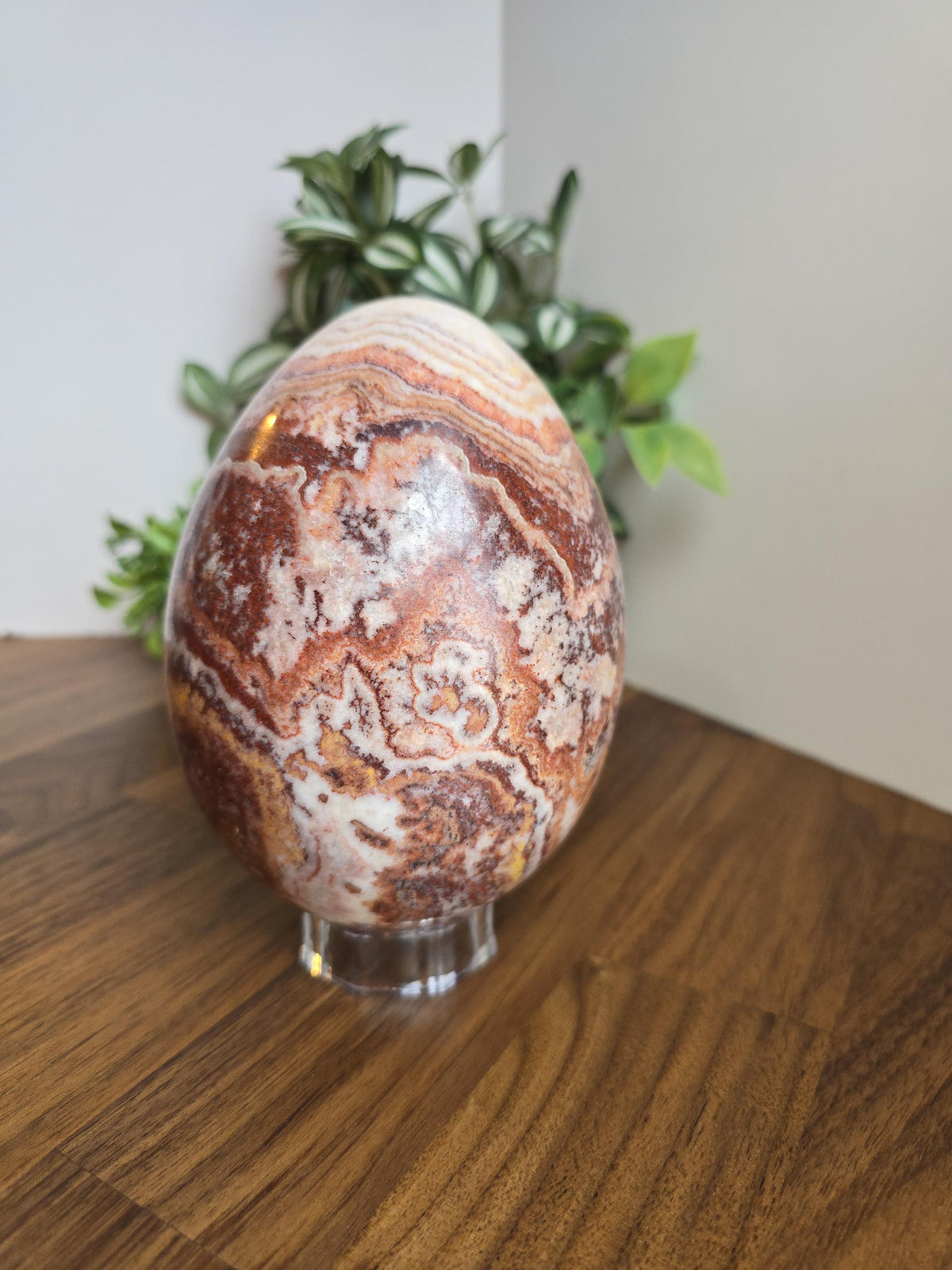 Inv - Beautiful Mexican Red Banded Calcite Egg | "B" | Large Crystal Statement Piece | Natural Porkstone in Red Pink White Brown | Rare Find
