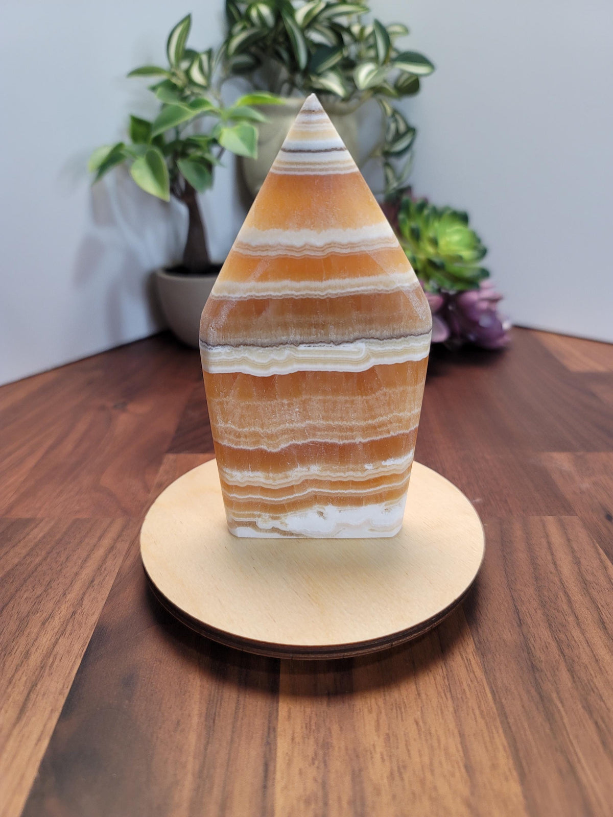 a wooden stand with a unique, striped stone on top, placed on a wooden surface. In the background, there are potted plants and a wooden base, creating a natural and decorative setting.
