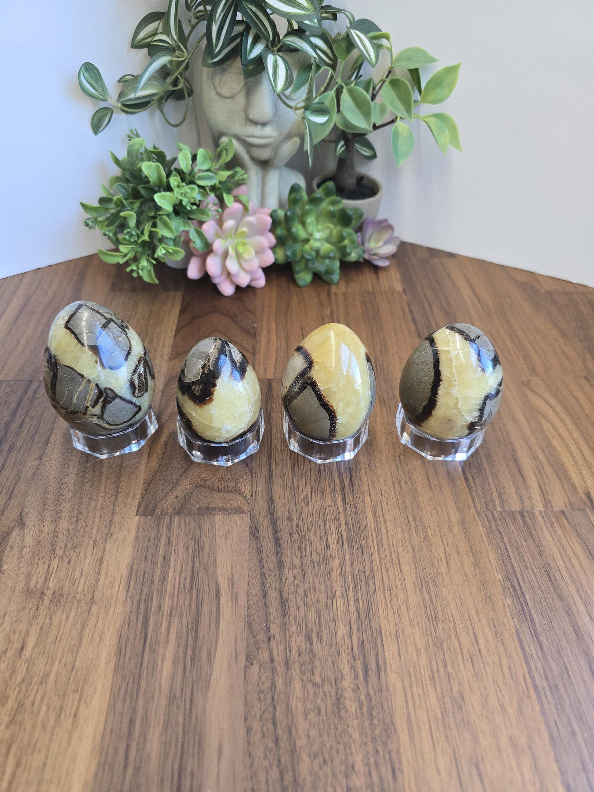 Septarian Crystal Dragon Egg - Yellow and Brown Natural Stone