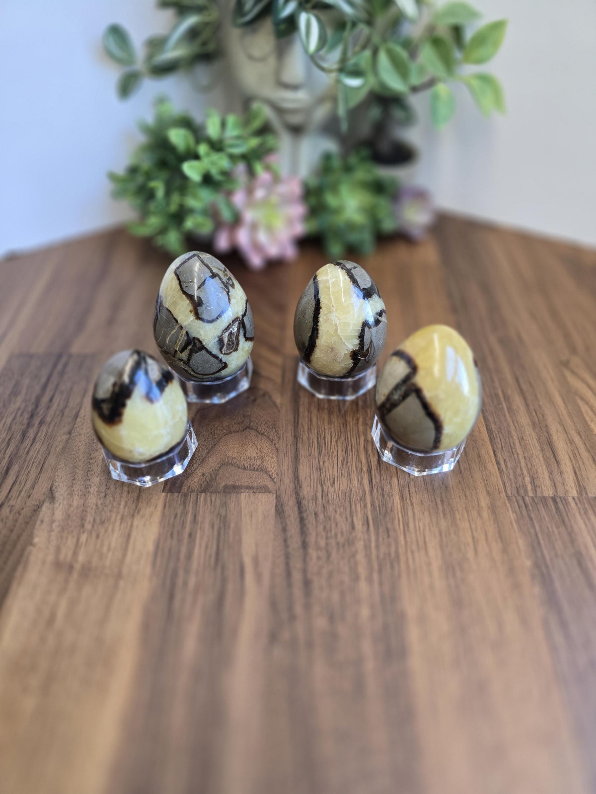 Septarian Crystal Dragon Egg - Yellow and Brown Natural Stone
