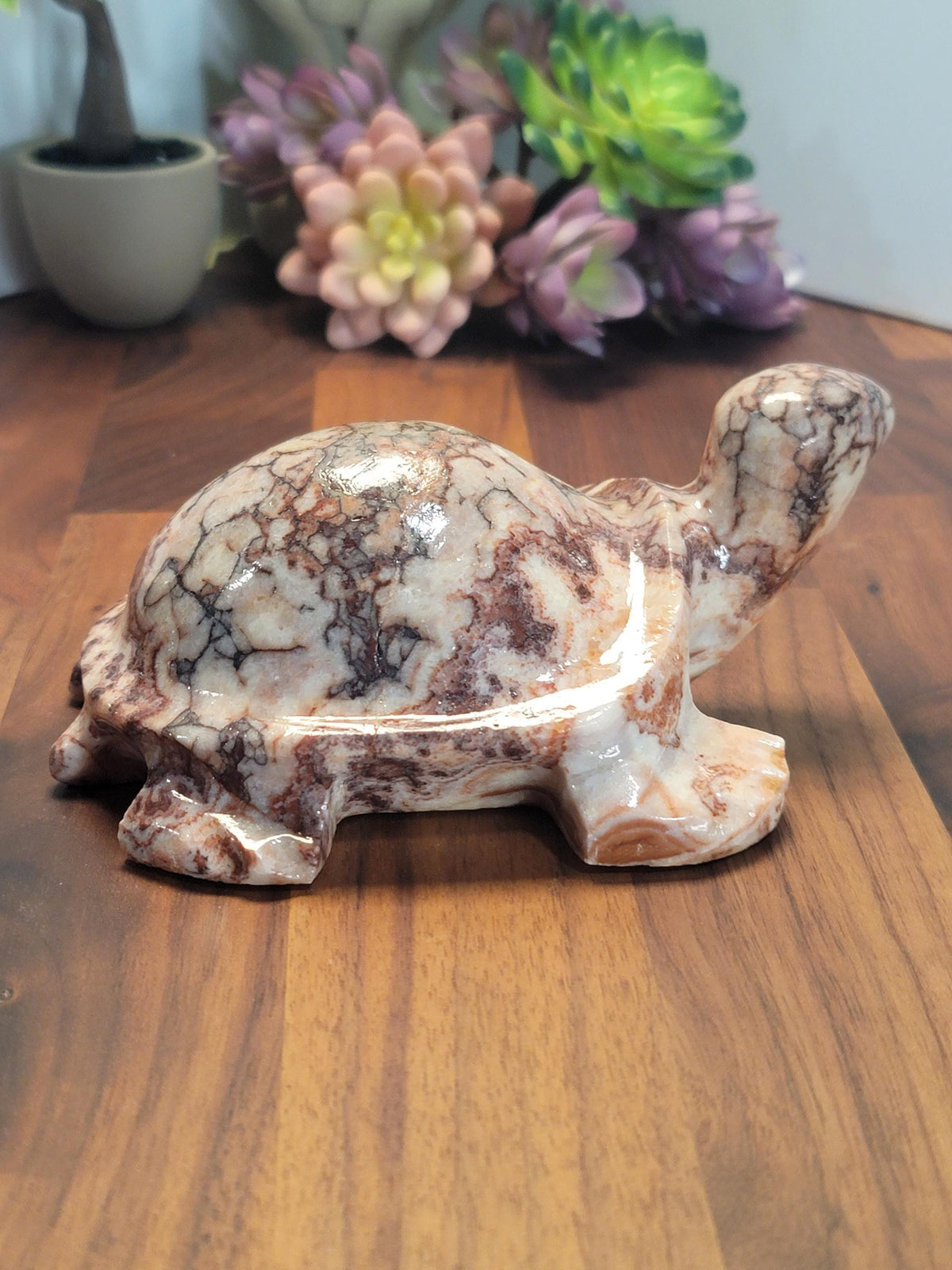 Stunning Pink Crazy Lace Turtle | B | Large Red Banded Mexico Agate Tortoise | Cute Crystal Pet for Unique Birthday Gift or Valentine