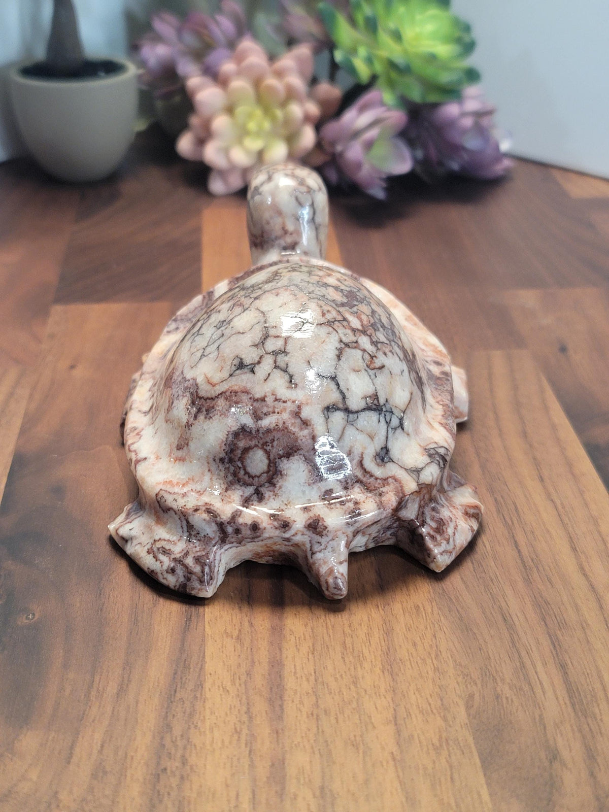 Stunning Pink Crazy Lace Turtle | B | Large Red Banded Mexico Agate Tortoise | Cute Crystal Pet for Unique Birthday Gift or Valentine