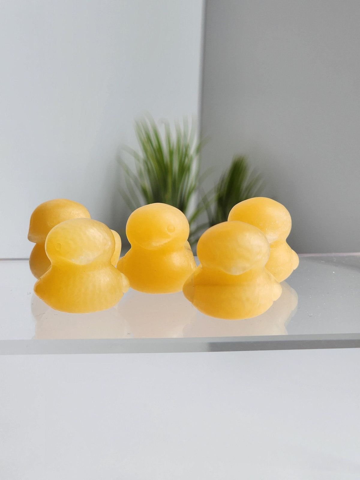 A group of yellow rubber duckies arranged on a reflective surface, with a plant visible in the background.