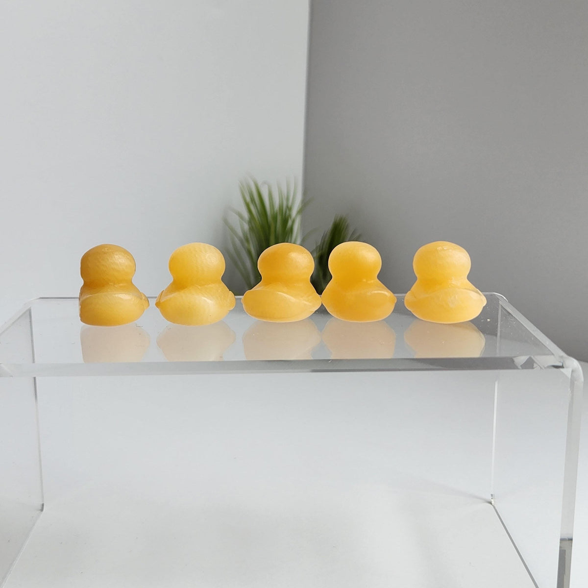 A row of yellow duck-shaped objects is displayed on a clear stand against a white background.