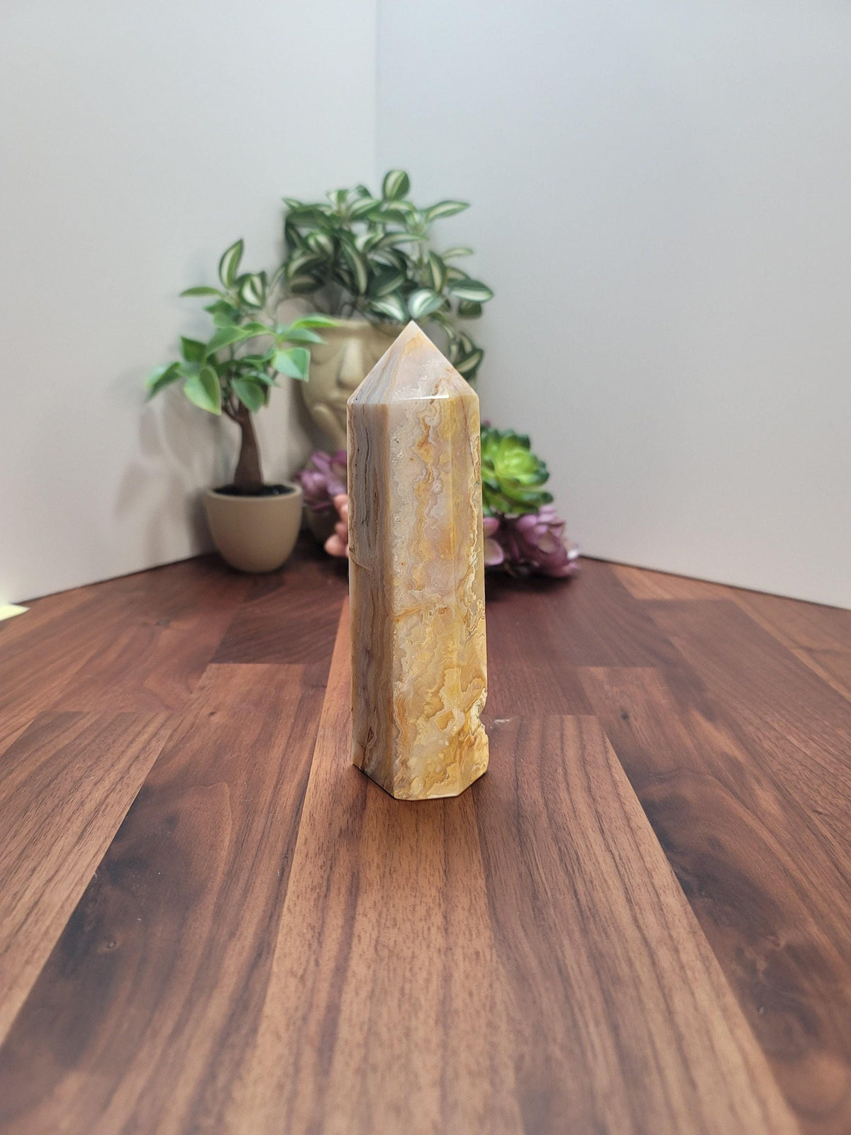 a tall, pointed, and textured stone or crystal placed on a wooden surface, with a few potted plants in the background.