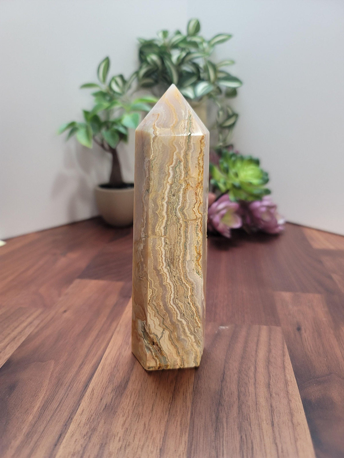 a tall, pointed, and textured stone or crystal standing on a wooden surface, with a potted plant and some flowers in the background.