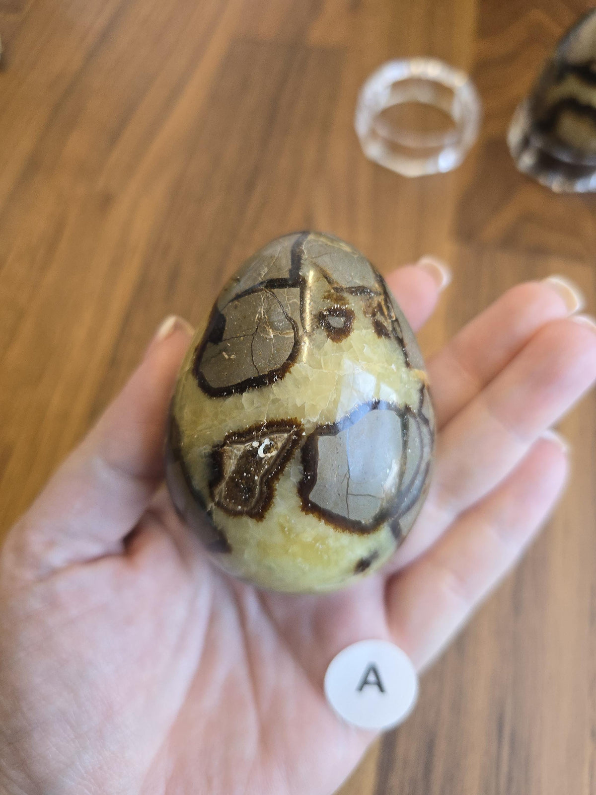 Septarian Crystal Dragon Egg - Yellow and Brown Natural Stone