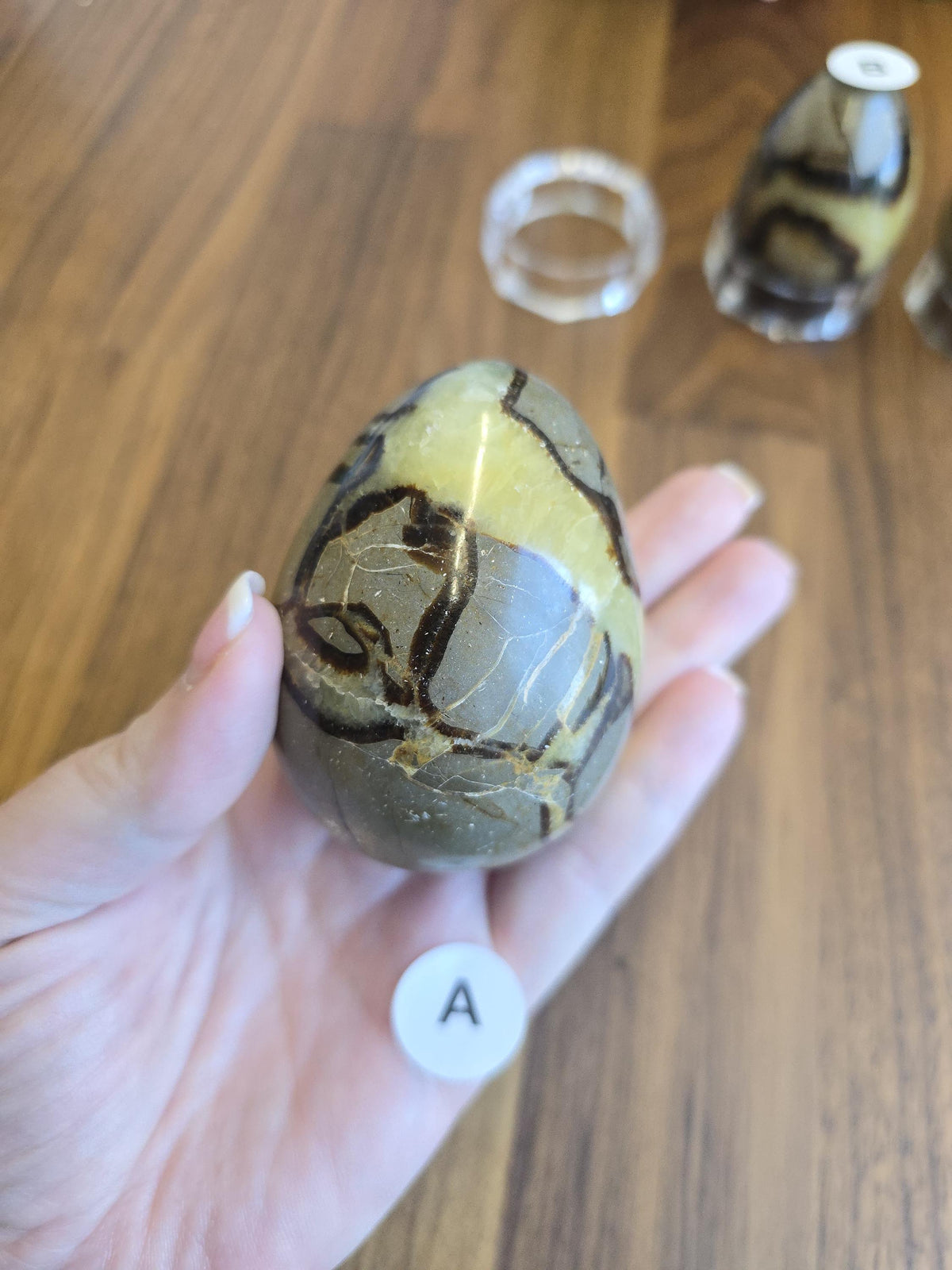 Septarian Crystal Dragon Egg - Yellow and Brown Natural Stone