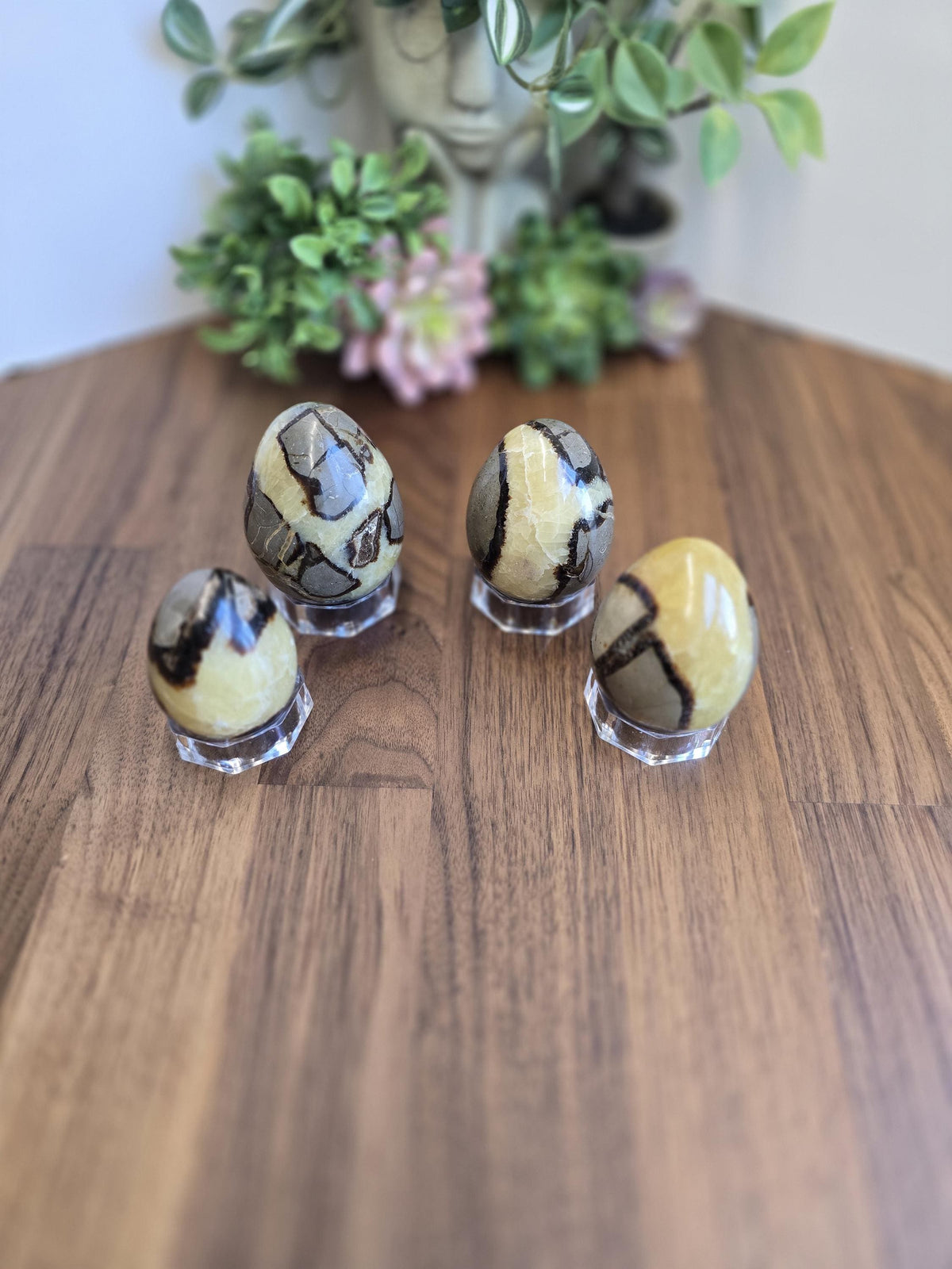 Septarian Crystal Dragon Egg - Yellow and Brown Natural Stone
