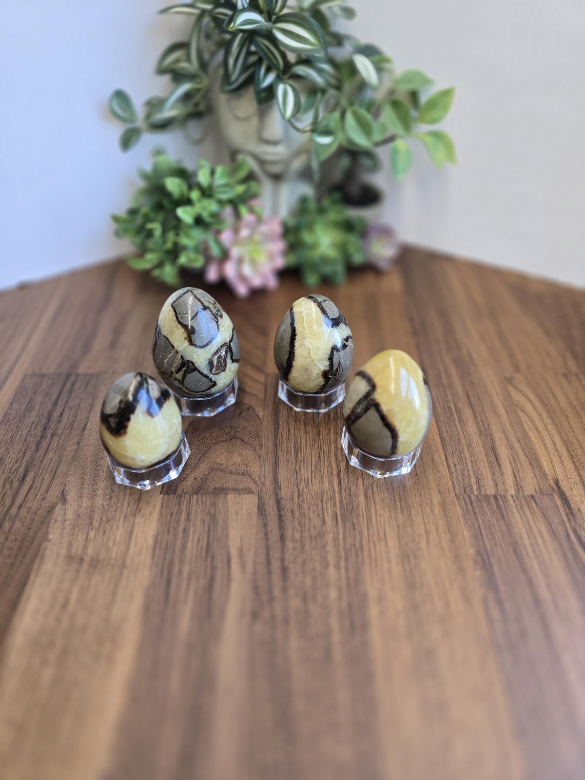 Septarian Crystal Dragon Egg - Yellow and Brown Natural Stone