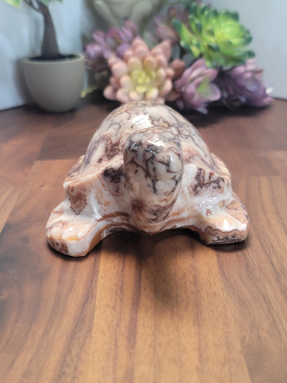 Stunning Pink Crazy Lace Turtle | B | Large Red Banded Mexico Agate Tortoise | Cute Crystal Pet for Unique Birthday Gift or Valentine