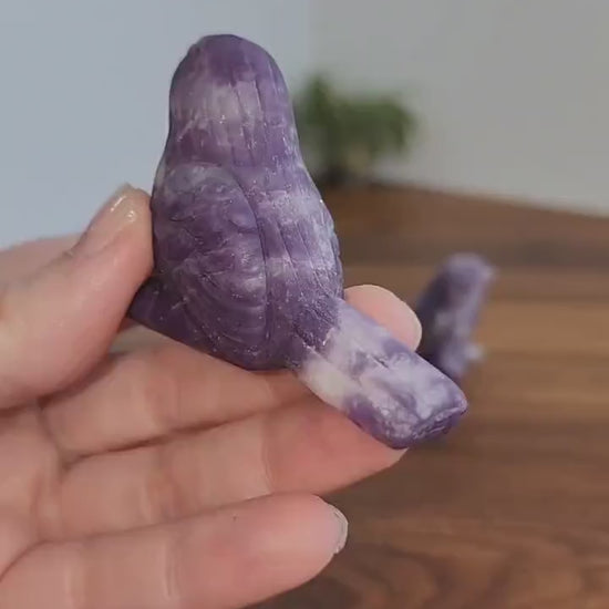 Lepidolite Crystal Bird Carving: Sparkle Animal Figurine