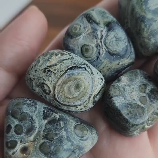Kambaba Jasper Tumble Stone: Green Earthy Crystal