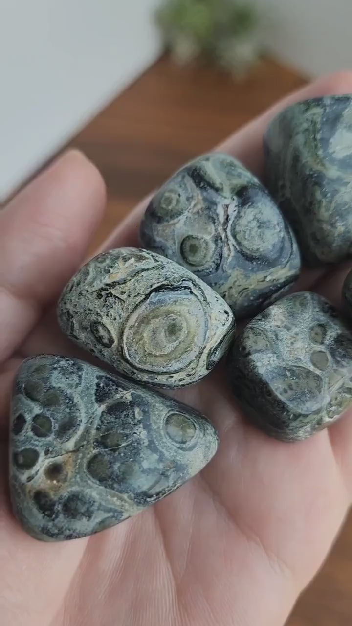 Kambaba Jasper Tumble Stone: Green Earthy Crystal