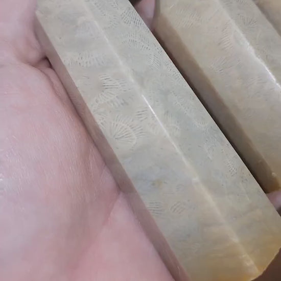 Agatized Fossil Coral Tower: Cream Feather Pattern Crystal