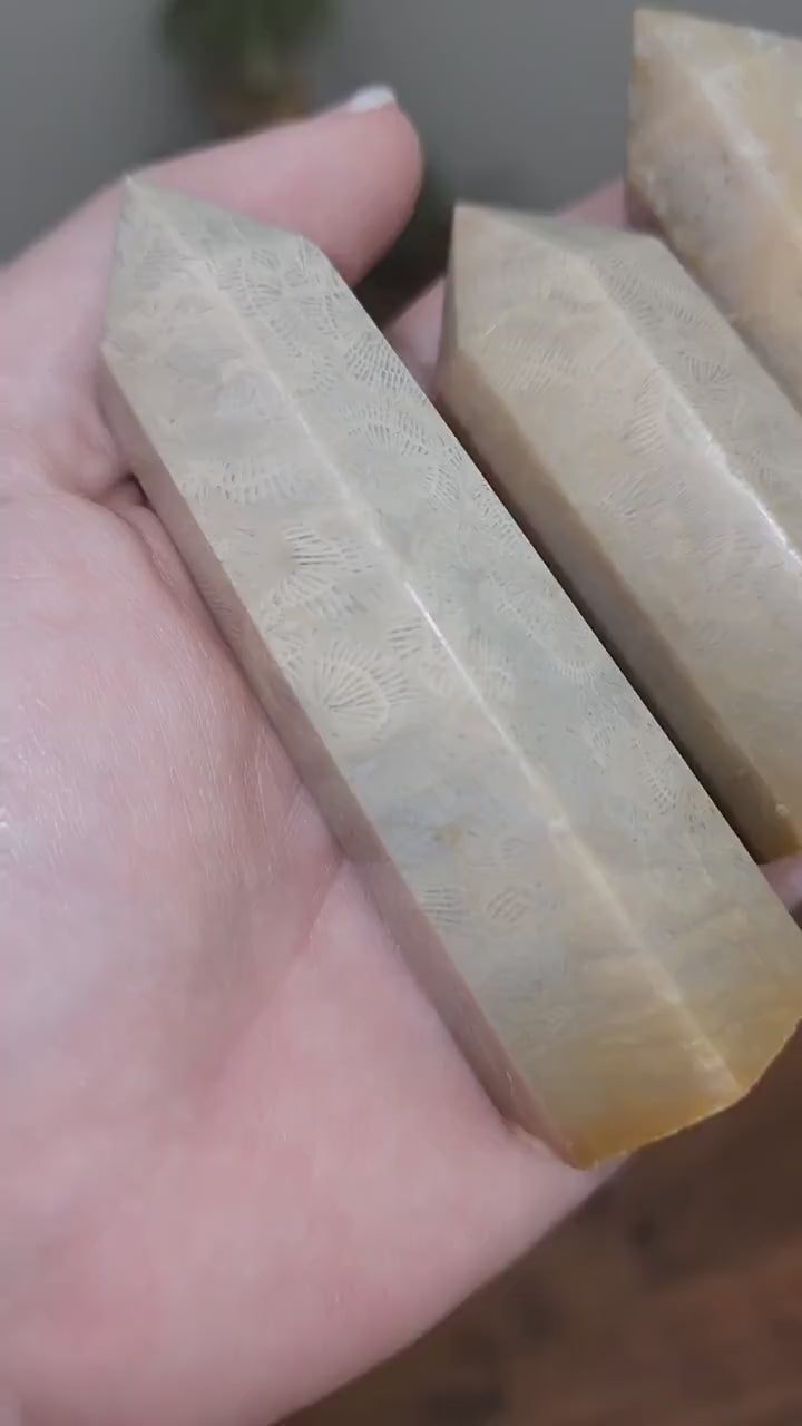 Agatized Fossil Coral Tower: Cream Feather Pattern Crystal