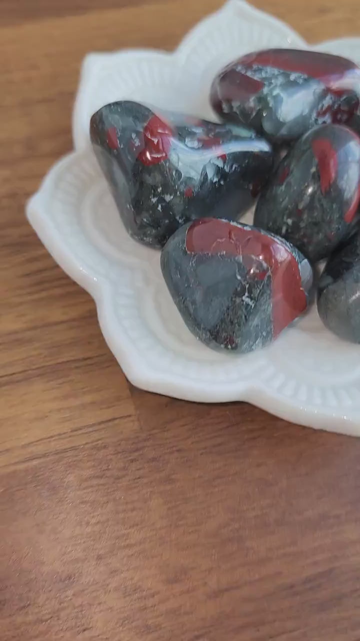 African Bloodstone Tumble: Cherry Orchard Jasper, Medium Red Crystal