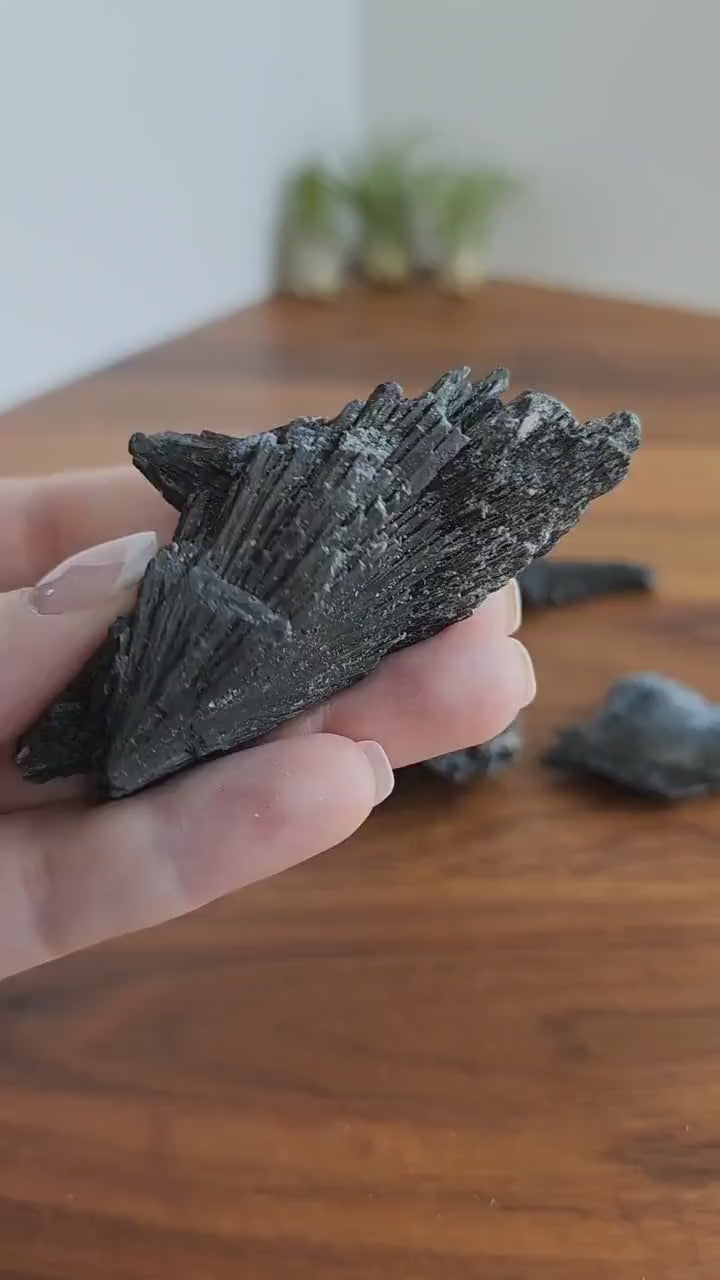 Flashy Black Kyanite Specimen: Raw Natural Crystal Shard
