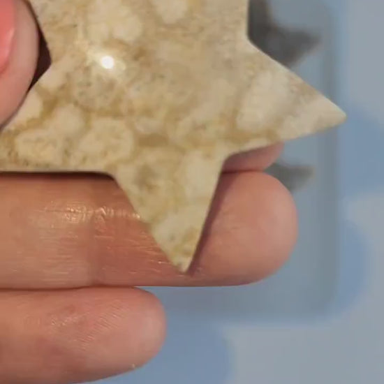 Coral Jade Mini Stars! | Ancient Coral Fossils | Fossilized Crystals | Agatized | Carvings | Intuitively Chosen