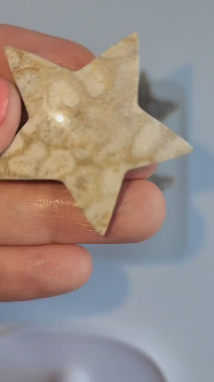 Coral Jade Mini Stars! | Ancient Coral Fossils | Fossilized Crystals | Agatized | Carvings | Intuitively Chosen