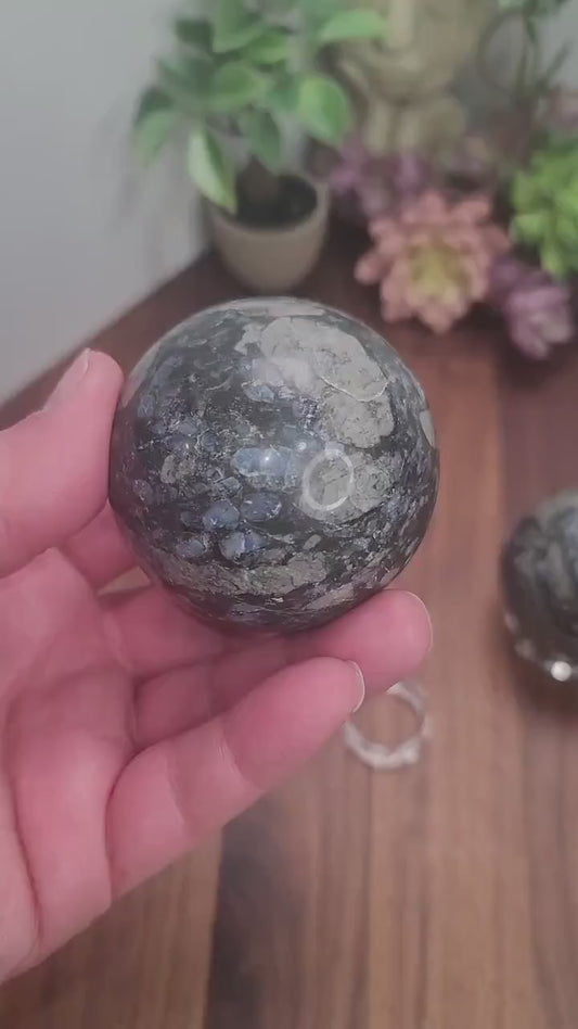Radiant Rhyolite Que Sera Crystal Sphere | 66 MM | Blue and Black | Intuitively Chosen