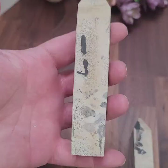 Dendritic Picture Jasper Tower: White, Gray & Black Crystal Point