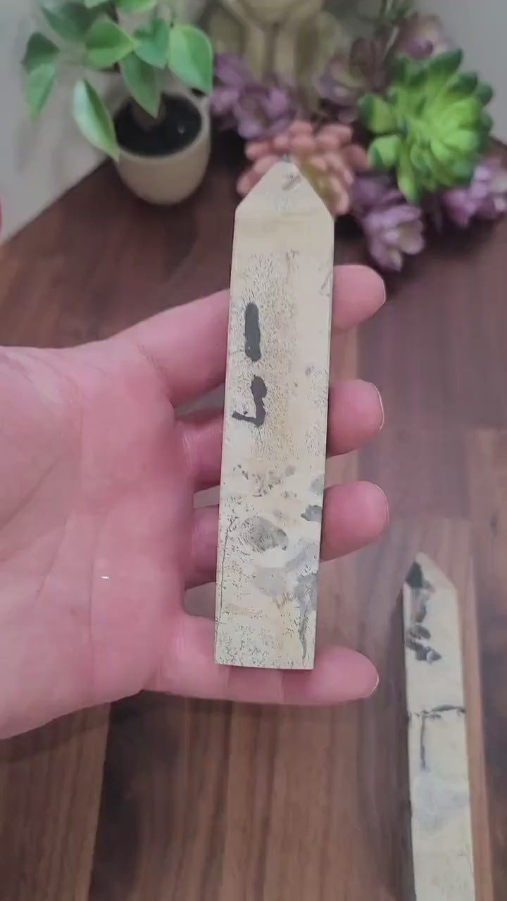 Dendritic Picture Jasper Tower: White, Gray & Black Crystal Point