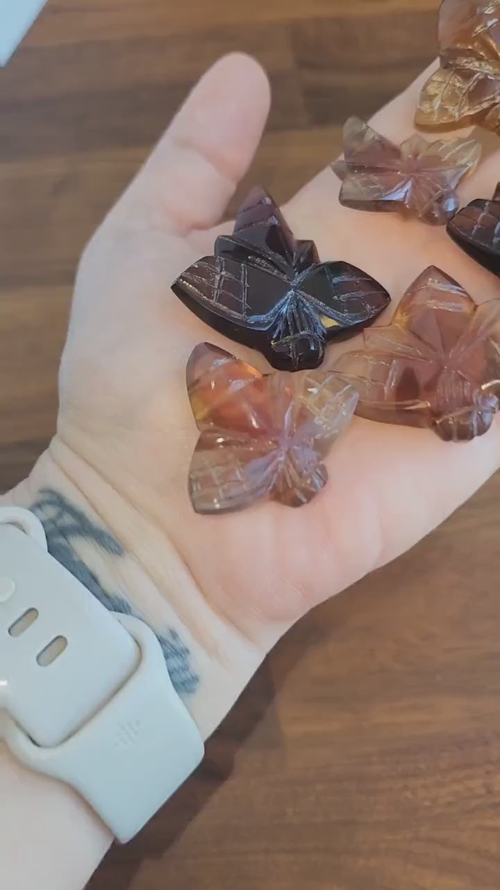 Amber Bee Carving | Natural Amber Carvings | Wings Closed Honeybee | Save the Bees | Intuitively Chosen