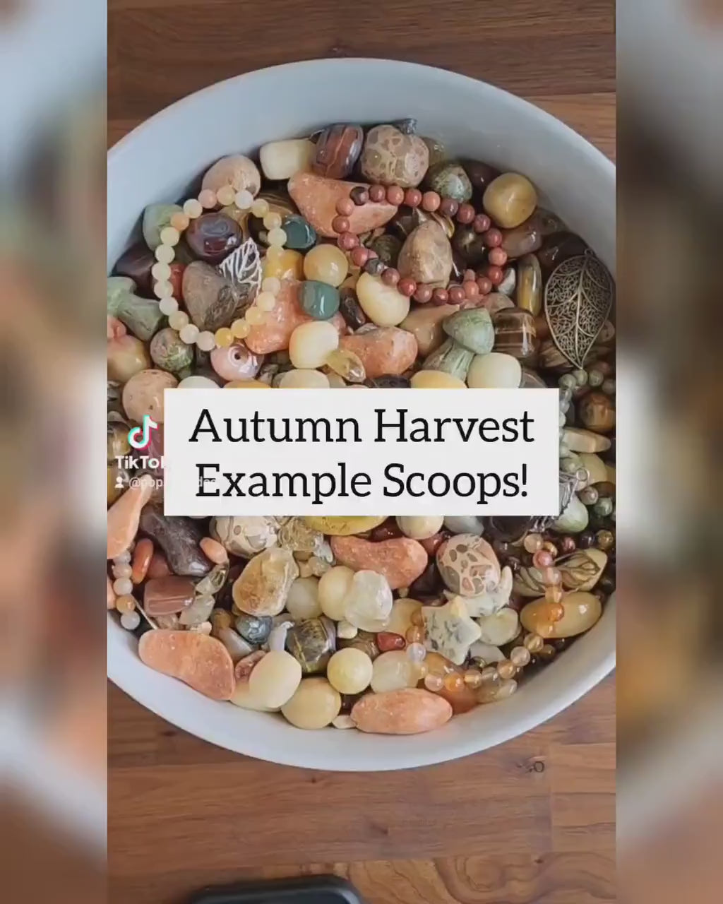 Autumn Harvest Crystal Confetti Mix! Bracelets, worry stones, acorns, hand carved leaves, leaf charms, beads, and large tumbles!