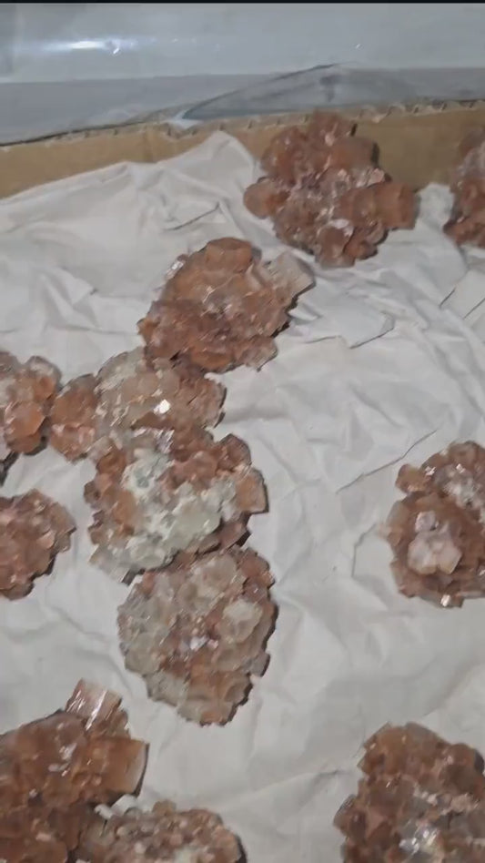 Red Aragonite Star Clusters| Around 1.3 to 2"| Intuitively Chosen